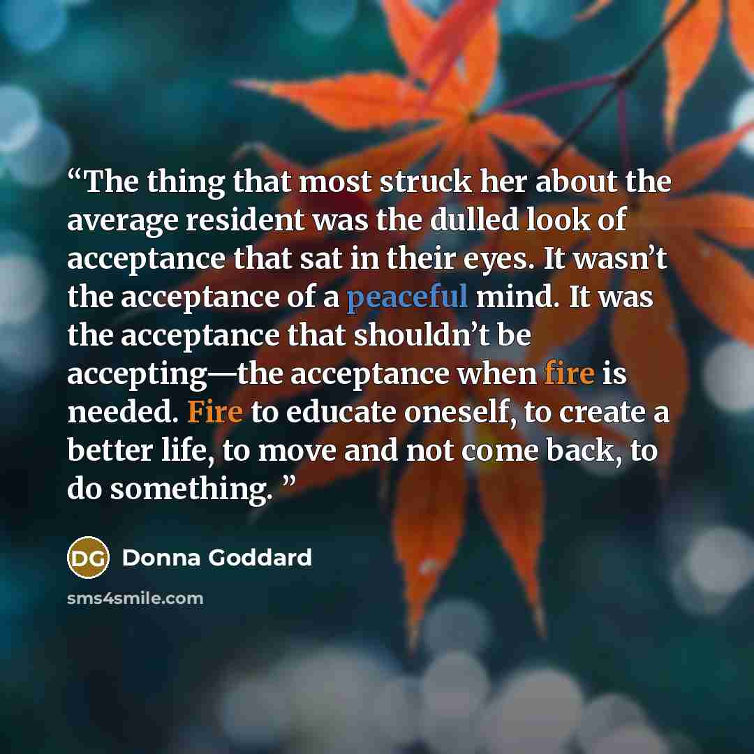 “The thing that most struck her about the average resident was the dulled look of acceptance that sat in their eyes. It wasn’t the acceptance of a peaceful mind. It was the acceptance that shouldn’t be accepting—the acceptance when fire is needed. Fire to educate oneself, to create a better life…” quote by Donna Goddard