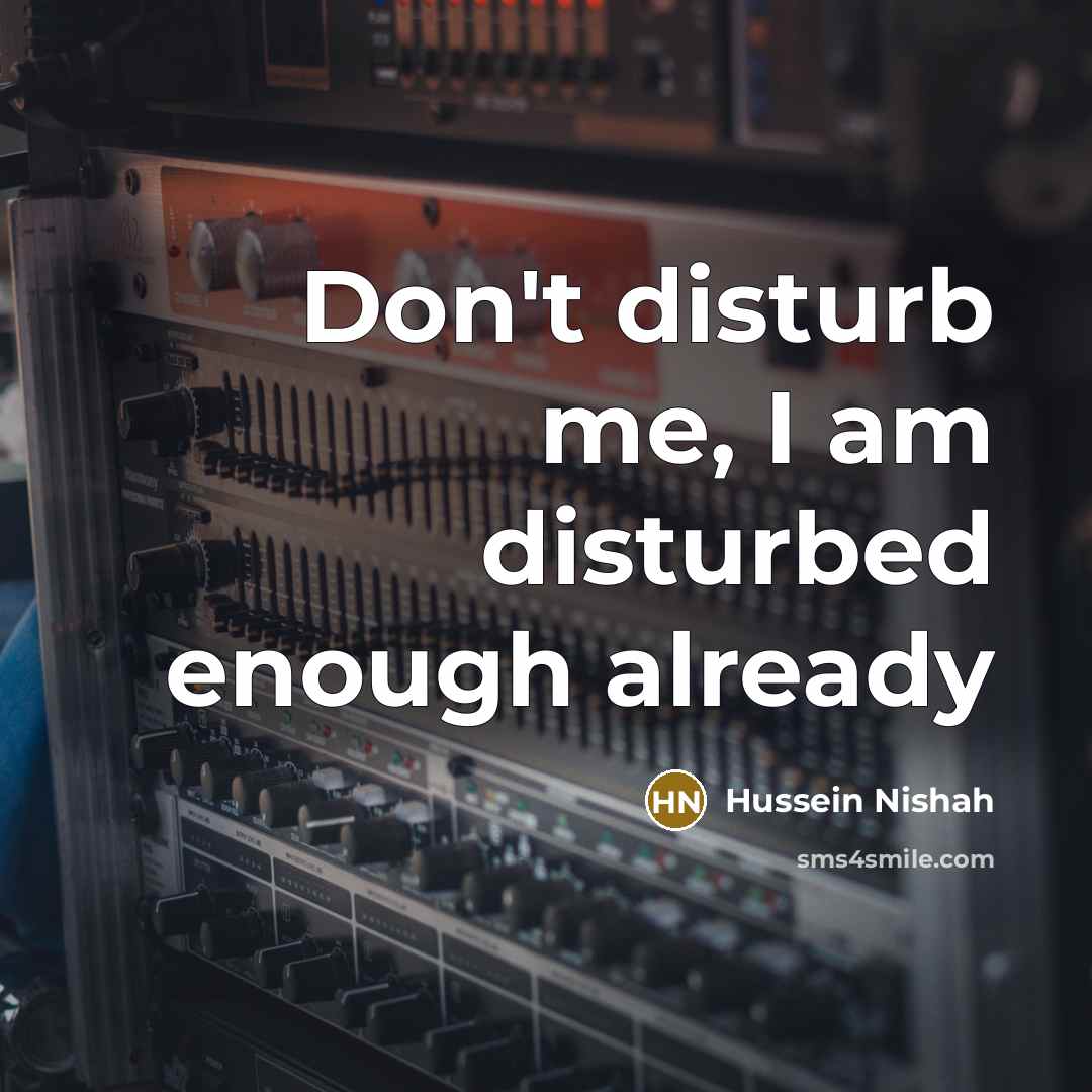 “Don't disturb me, I am disturbed enough already” quote by Hussein Nishah
