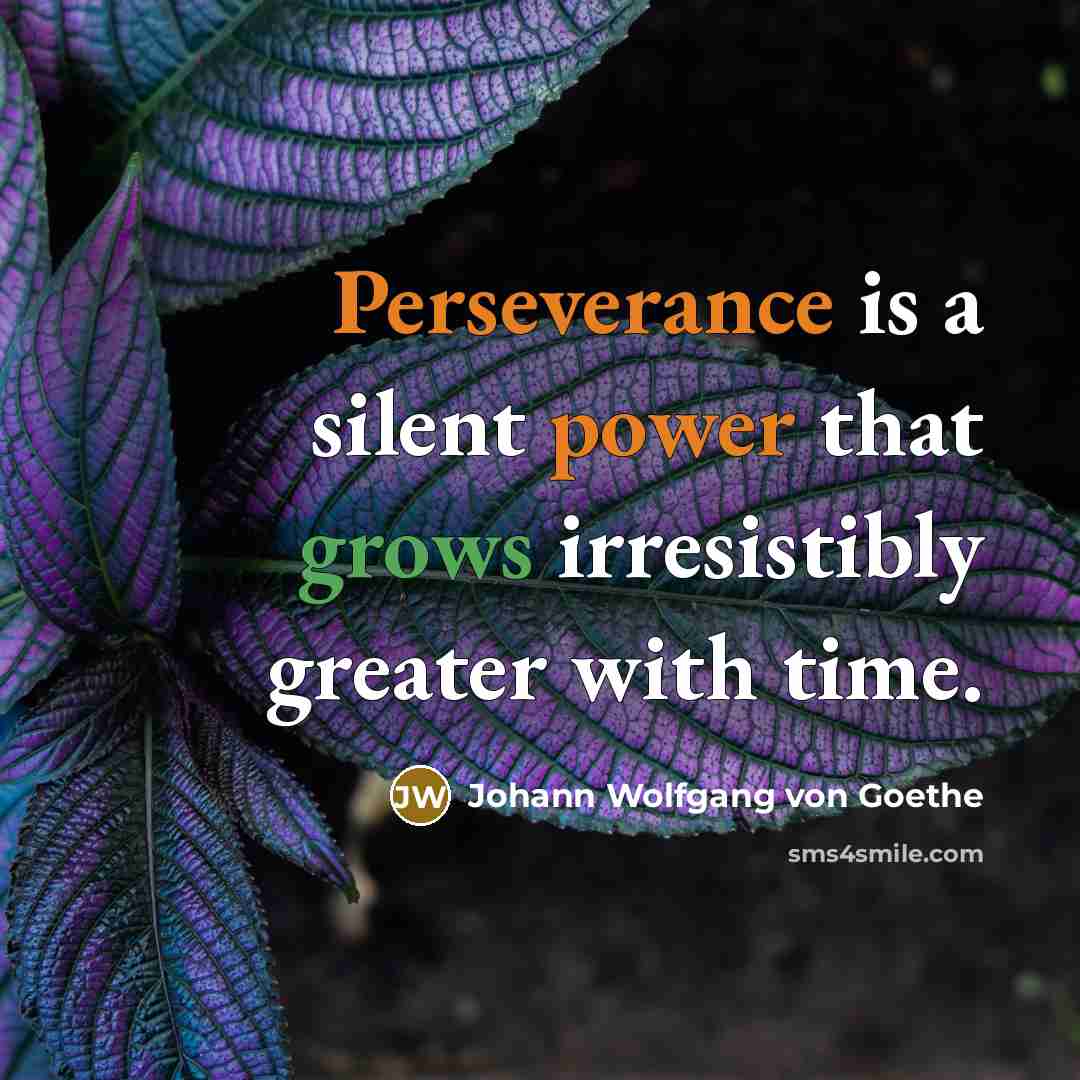 “Perseverance is a silent power that grows irresistibly greater with time.” quote by Johann Wolfgang von Goethe