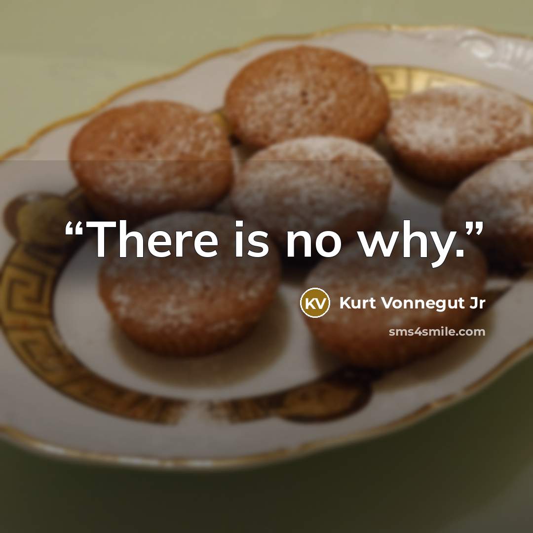 “There is no why.” quote by Kurt Vonnegut Jr