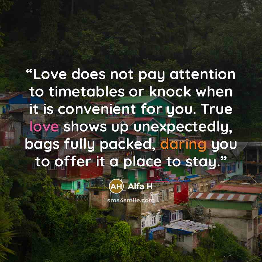 “Love does not pay attention to timetables or knock when it is convenient for you. True love shows up unexpectedly, bags fully packed, daring you to offer it a place to stay.” quote by Alfa H