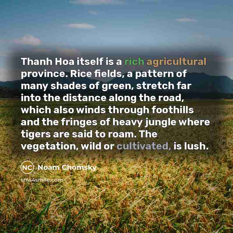 “Thanh Hoa itself is a rich agricultural province. Rice fields, a pattern of many shades of green, stretch far into the distance along the road, which also winds through foothills and the fringes of heavy jungle where tigers are said to roam. The vegetation, wild or cultivated, is lush.” quote by Noam Chomsky