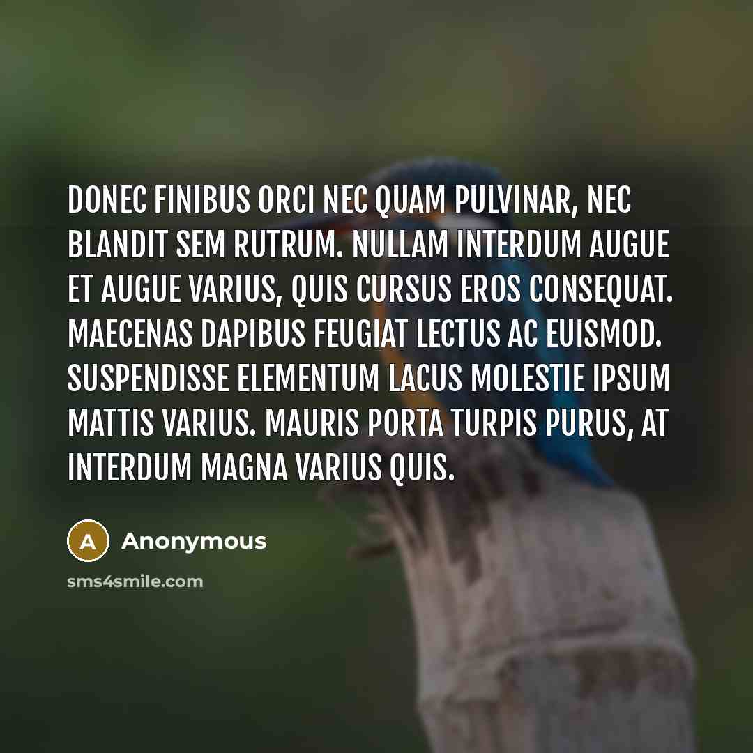 “Donec finibus orci nec quam pulvinar, nec blandit sem rutrum. Nullam interdum augue et augue varius, quis cursus eros consequat. Maecenas dapibus feugiat lectus ac euismod. Suspendisse elementum lacus molestie ipsum mattis varius. Mauris porta turpis purus, at interdum magna varius quis.” quote by Anonymous