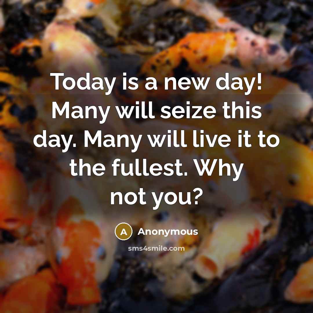 “Today is a new day! Many will seize this day. Many will live it to the fullest. Why not you?” quote by Anonymous