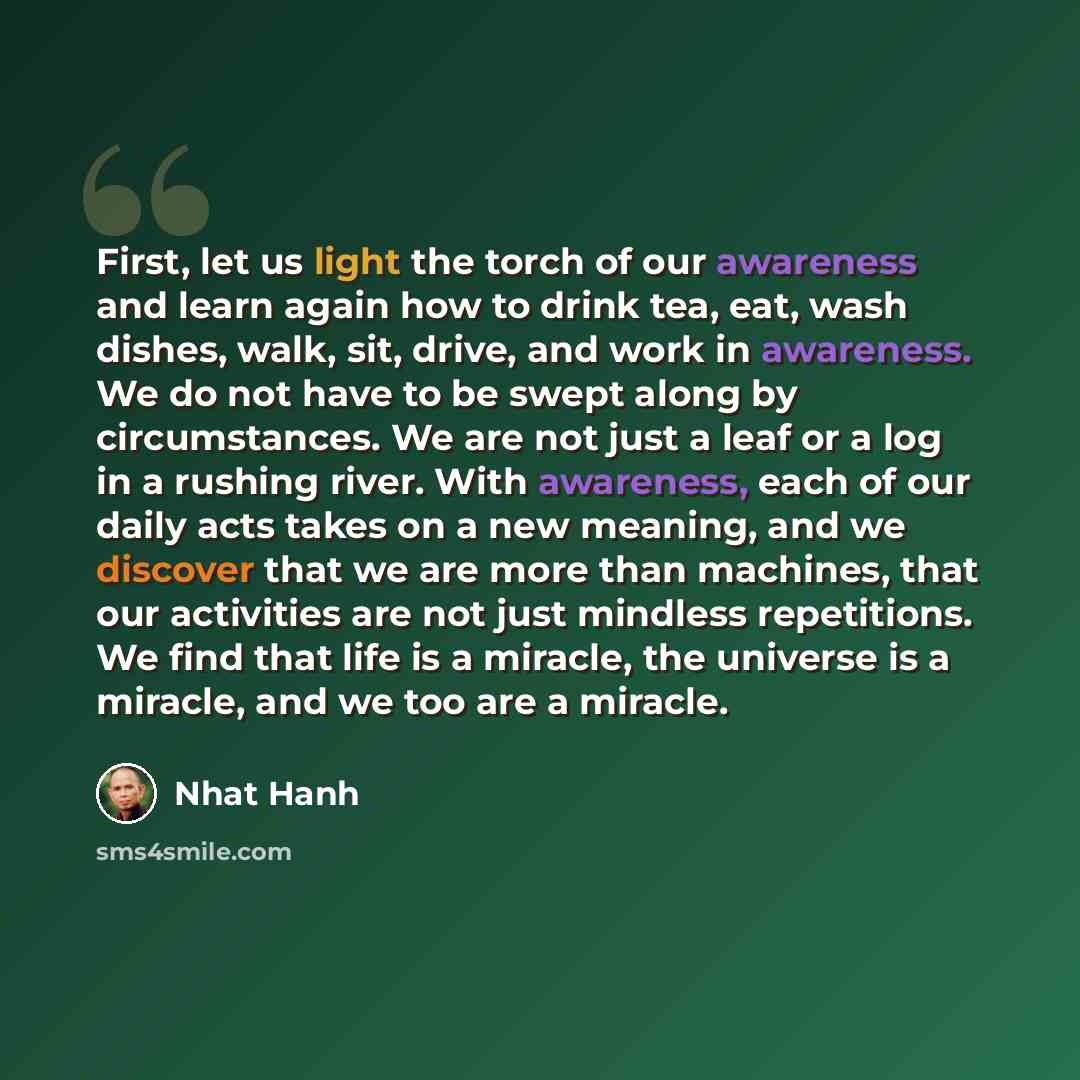 “First, let us light the torch of our awareness and learn again how to drink tea, eat, wash dishes, walk, sit, drive, and work in awareness. We do not have to be swept along by circumstances. We are not just a leaf or a log in a rushing river. With awareness, each of our daily acts takes on a new…” quote by Nhat Hanh
