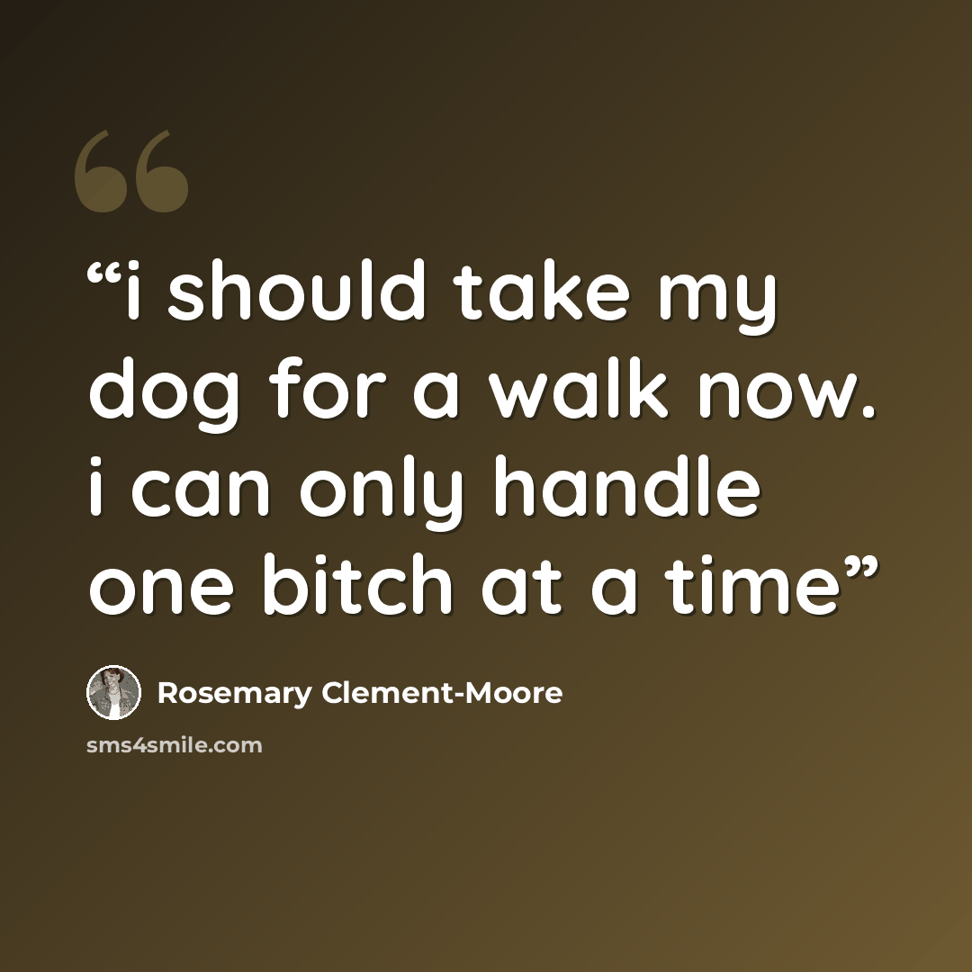 “i should take my dog for a walk now. i can only handle one bitch at a time” quote by Rosemary Clement-Moore