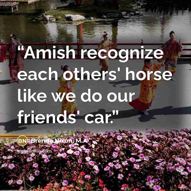 “Amish recognize each others' horse like we do our friends' car.” quote by Brenda Nixon, M.A