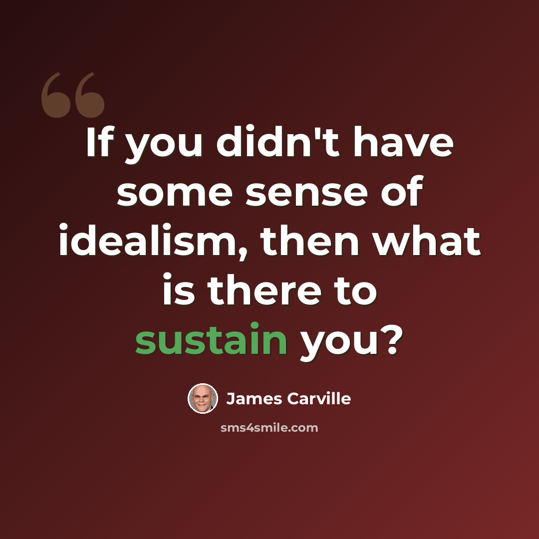 “If you didn't have some sense of idealism, then what is there to sustain you?” quote by James Carville