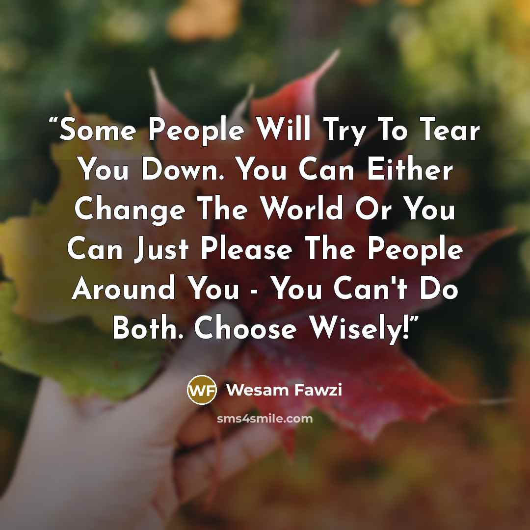 “Some People Will Try To Tear You Down. You Can Either Change The World Or You Can Just Please The People Around You - You Can't Do Both. Choose Wisely!” quote by Wesam Fawzi