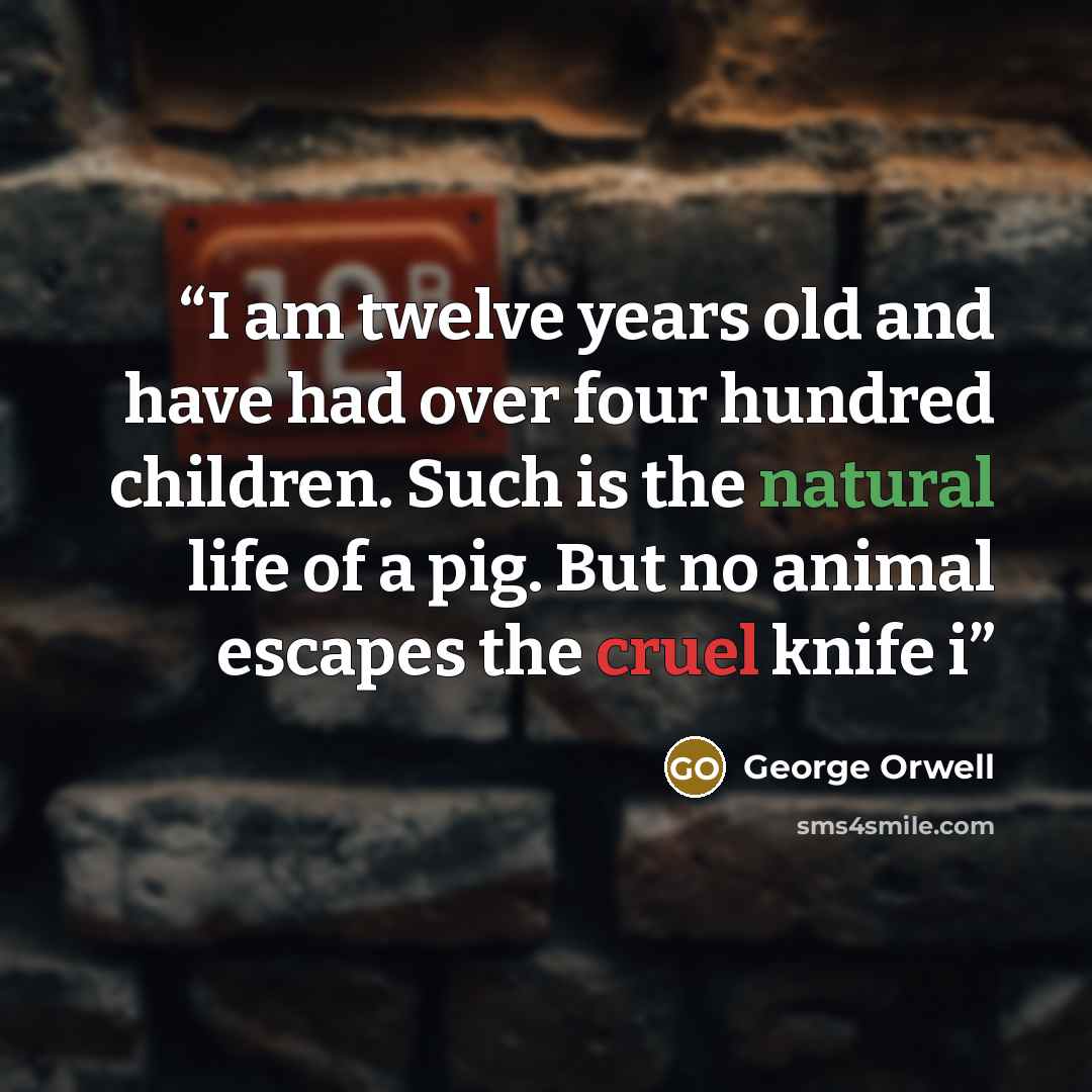 “I am twelve years old and have had over four hundred children. Such is the natural life of a pig. But no animal escapes the cruel knife i” quote by George Orwell
