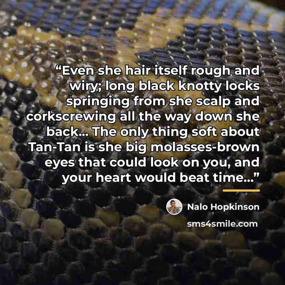 “Even she hair itself rough and wiry; long black knotty locks springing from she scalp and corkscrewing all the way down she back... The only thing soft about Tan-Tan is she big molasses-brown eyes that could look on you, and your heart would beat time...” quote by Nalo Hopkinson
