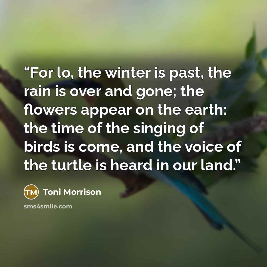 “For lo, the winter is past, the rain is over and gone; the flowers appear on the earth: the time of the singing of birds is come, and the voice of the turtle is heard in our land.” quote by Toni Morrison
