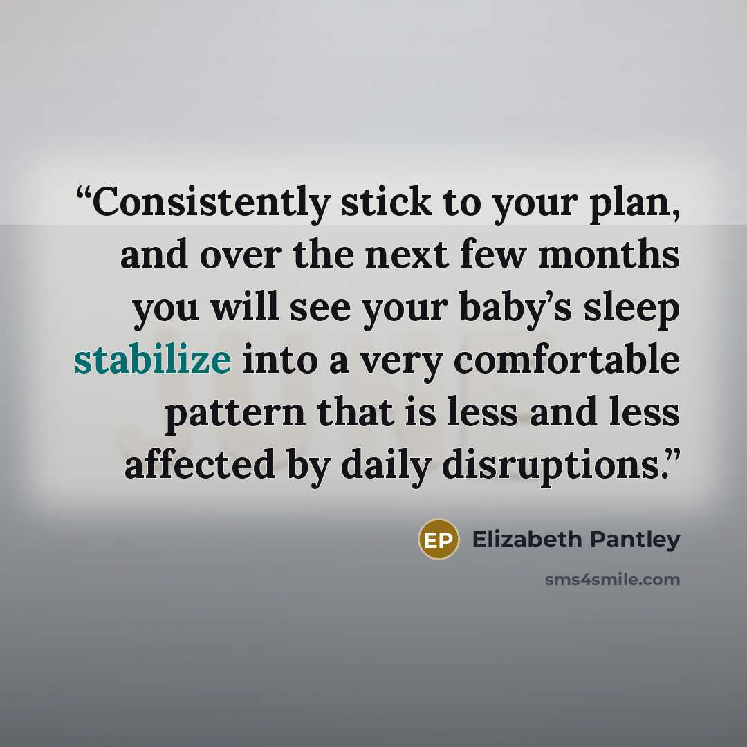 “Consistently stick to your plan, and over the next few months you will see your baby’s sleep stabilize into a very comfortable pattern that is less and less affected by daily disruptions.” quote by Elizabeth Pantley