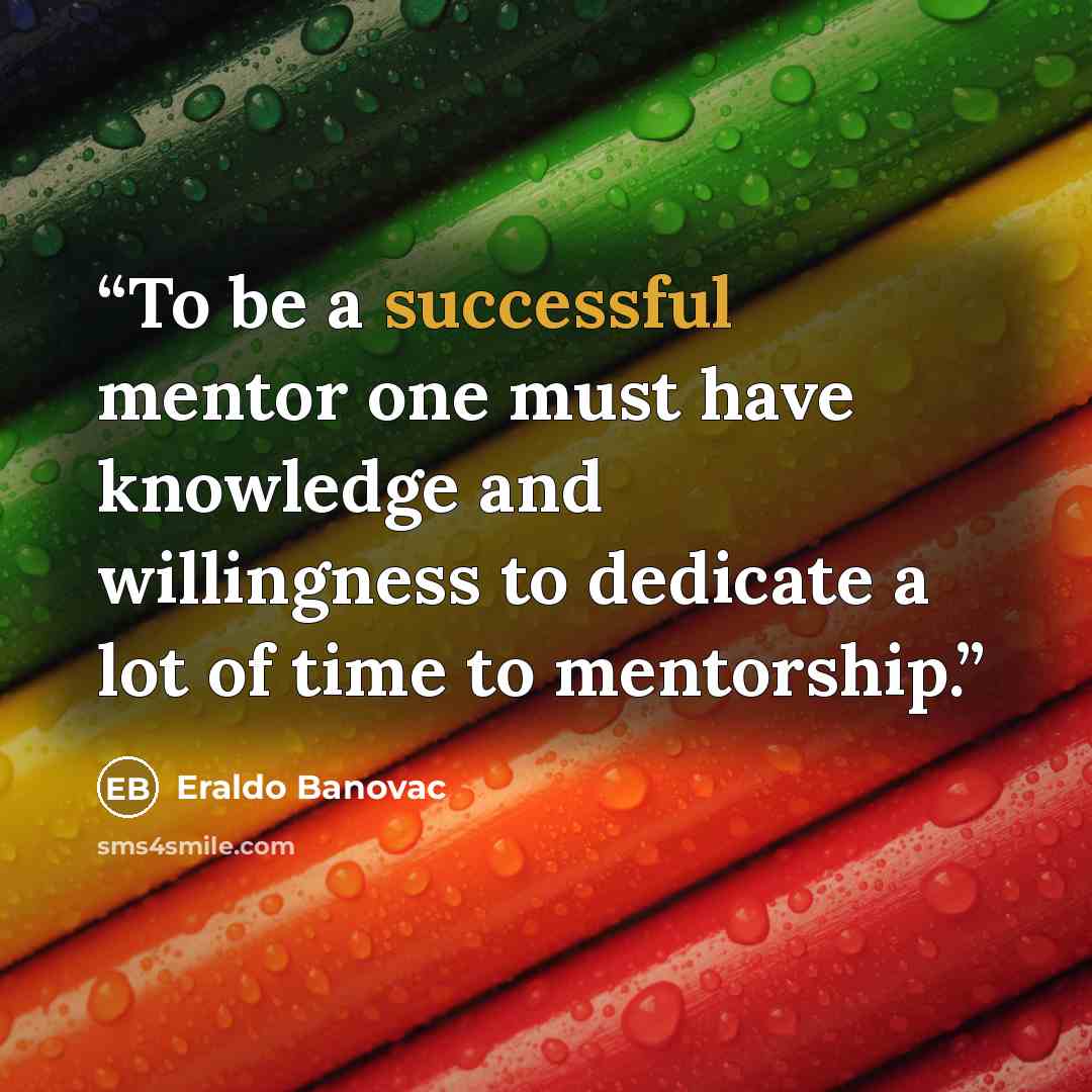 “To be a successful mentor one must have knowledge and willingness to dedicate a lot of time to mentorship.” quote by Eraldo Banovac