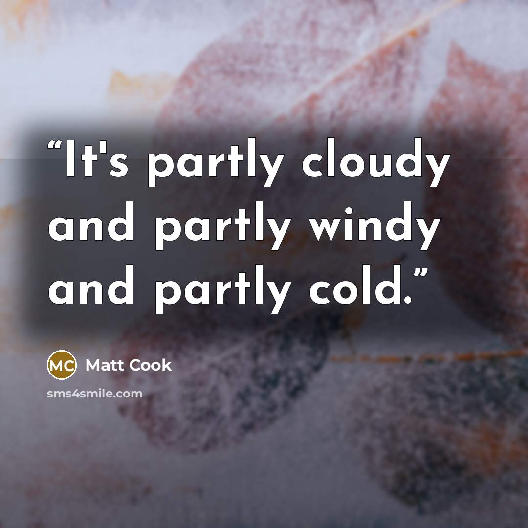 “It's partly cloudy and partly windy and partly cold.” quote by Matt Cook