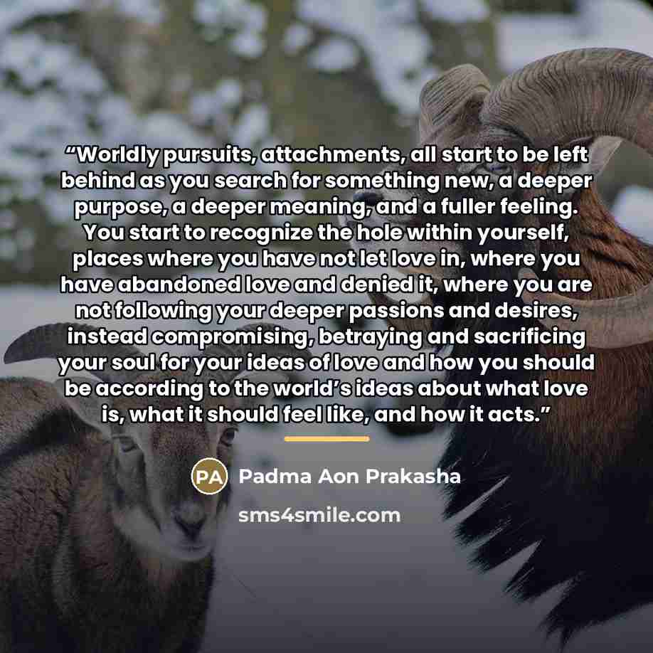 “Worldly pursuits, attachments, all start to be left behind as you search for something new, a deeper purpose, a deeper meaning, and a fuller feeling. You start to recognize the hole within yourself, places where you have not let love in, where you have abandoned love and denied it, where you are…” quote by Padma Aon Prakasha