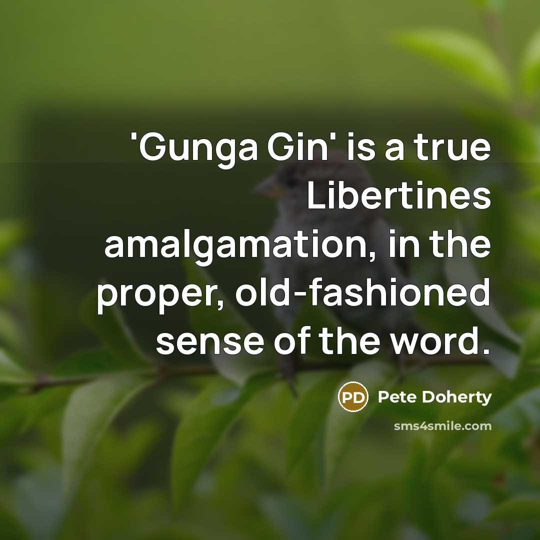 “'Gunga Gin' is a true Libertines amalgamation, in the proper, old-fashioned sense of the word.” quote by Pete Doherty