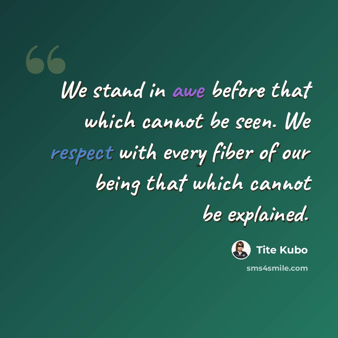 “We stand in awe before that which cannot be seen. We respect with every fiber of our being that which cannot be explained.” quote by Tite Kubo