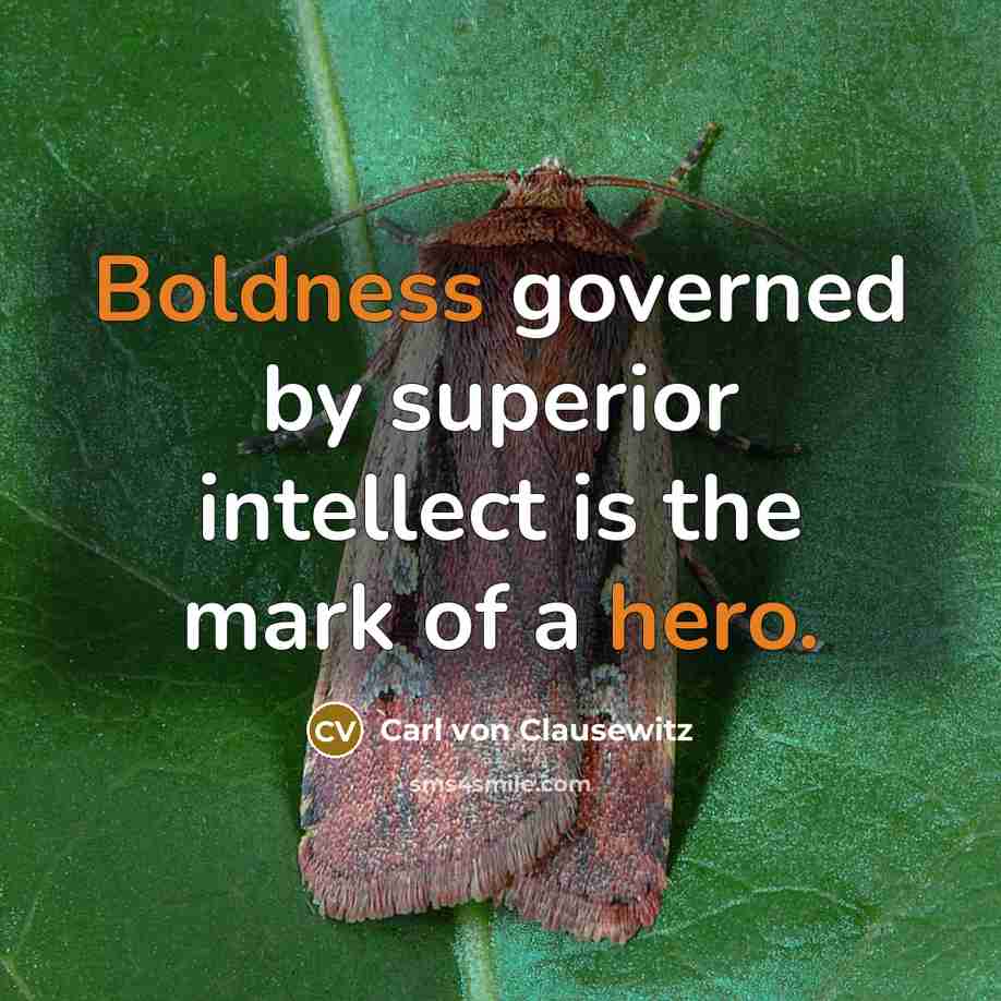 “Boldness governed by superior intellect is the mark of a hero.” quote by Carl von Clausewitz