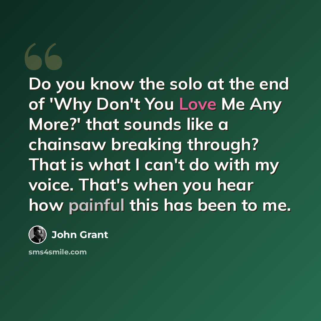 “Do you know the solo at the end of 'Why Don't You Love Me Any More?' that sounds like a chainsaw breaking through? That is what I can't do with my voice. That's when you hear how painful this has been to me.” quote by John Grant