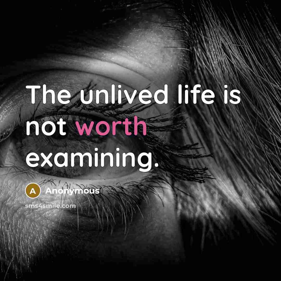 “The unlived life is not worth examining.” quote by Anonymous