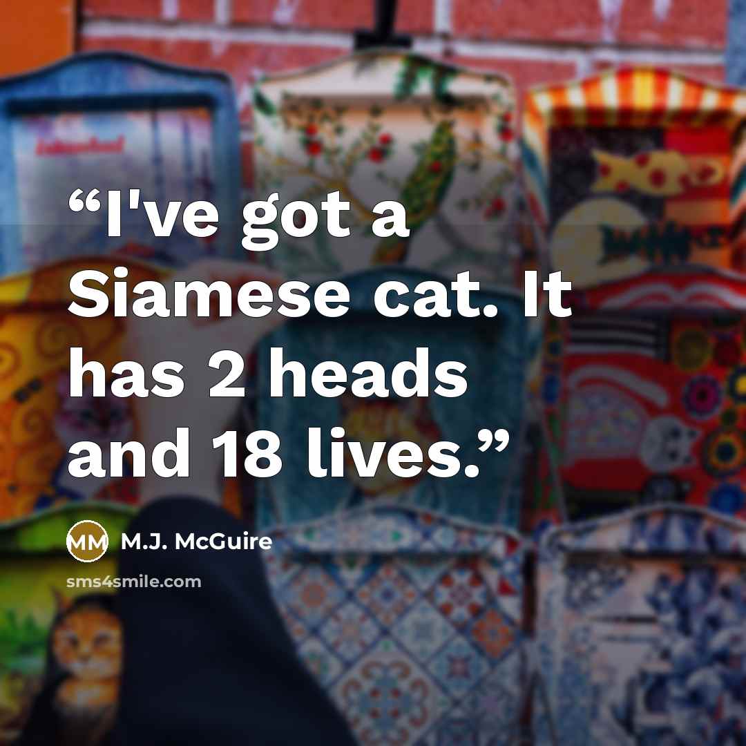“I've got a Siamese cat. It has 2 heads and 18 lives.” quote by M.J. McGuire