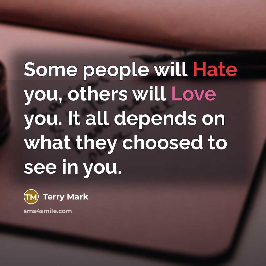 “Some people will Hate you, others will Love you. It all depends on what they choosed to see in you.” quote by Terry Mark