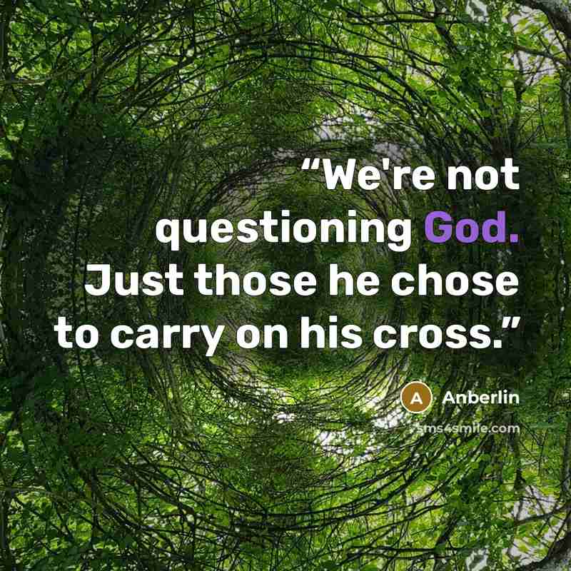 “We're not questioning God. Just those he chose to carry on his cross.” quote by Anberlin