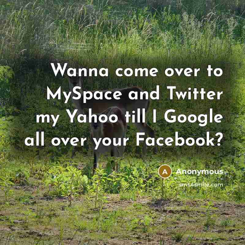 “Wanna come over to MySpace and Twitter my Yahoo till I Google all over your Facebook?” quote by Anonymous