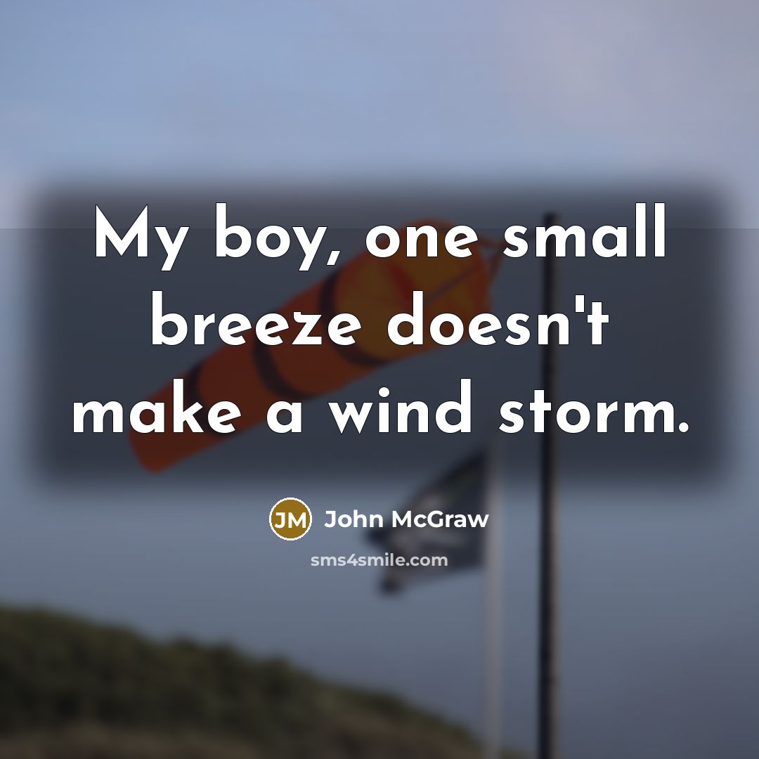 “My boy, one small breeze doesn't make a wind storm.” quote by John McGraw