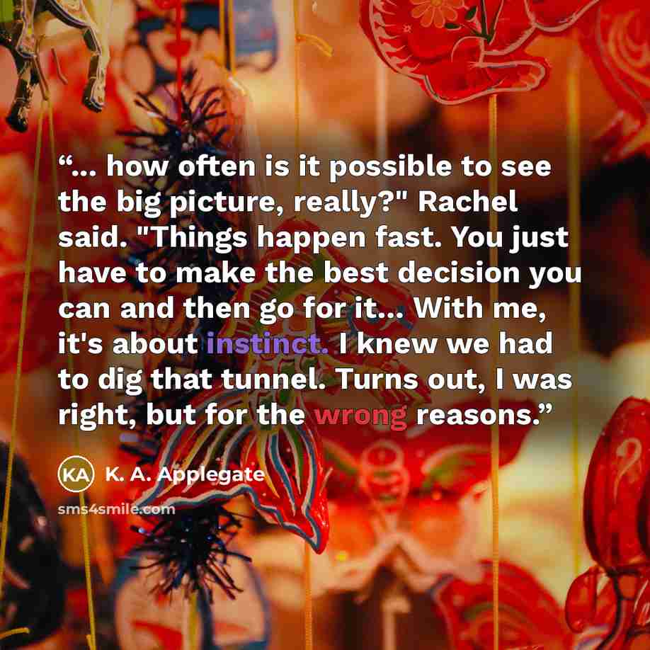 “... how often is it possible to see the big picture, really?" Rachel said. "Things happen fast. You just have to make the best decision you can and then go for it… With me, it's about instinct. I knew we had to dig that tunnel. Turns out, I was right, but for the wrong reasons.” quote by K. A. Applegate