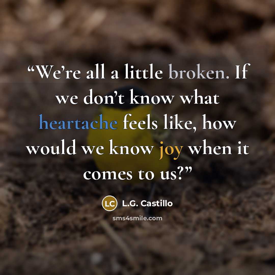 “We’re all a little broken. If we don’t know what heartache feels like, how would we know joy when it comes to us?” quote by L.G. Castillo