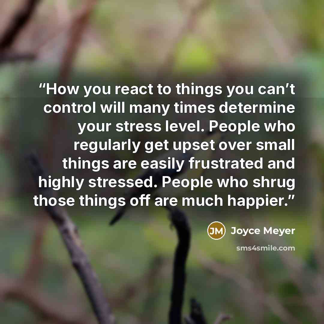 “How you react to things you can’t control will many times determine your stress level. People who regularly get upset over small things are easily frustrated and highly stressed. People who shrug those things off are much happier.” quote by Joyce Meyer