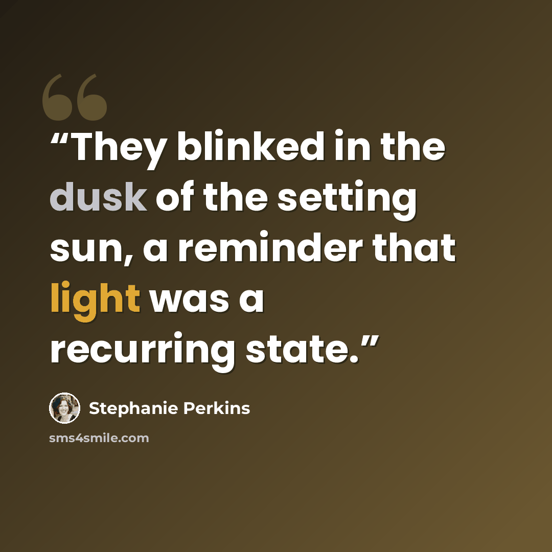 “They blinked in the dusk of the setting sun, a reminder that light was a recurring state.” quote by Stephanie Perkins