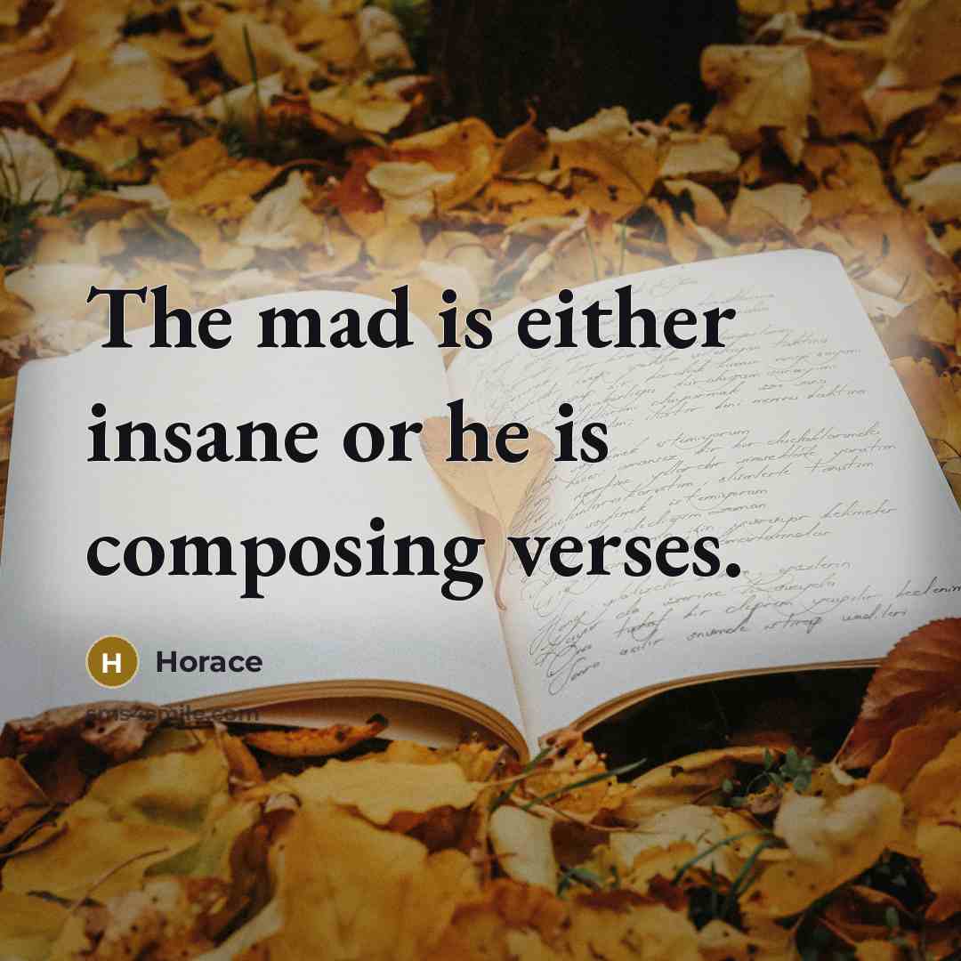 “The mad is either insane or he is composing verses.” quote by Horace