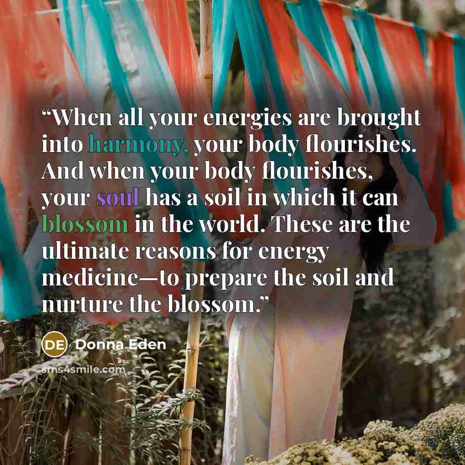 “When all your energies are brought into harmony, your body flourishes. And when your body flourishes, your soul has a soil in which it can blossom in the world. These are the ultimate reasons for energy medicine—to prepare the soil and nurture the blossom.” quote by Donna Eden