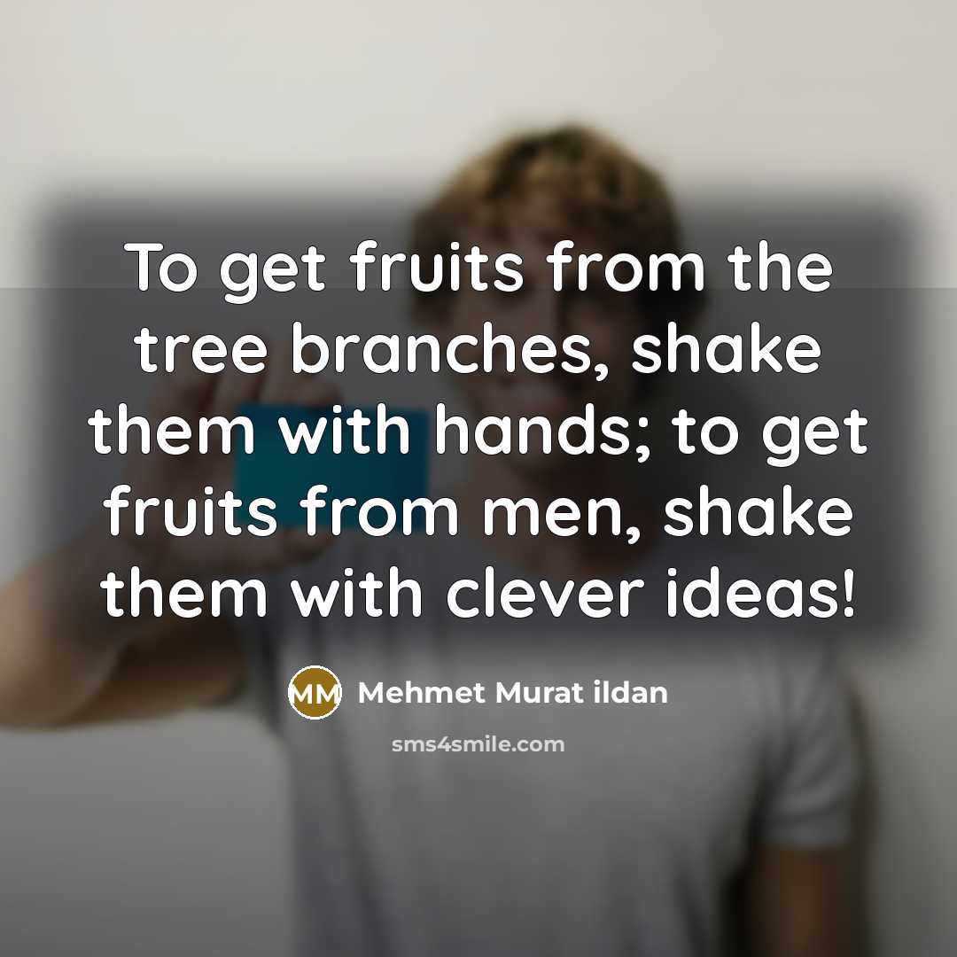 “To get fruits from the tree branches, shake them with hands; to get fruits from men, shake them with clever ideas!” quote by Mehmet Murat Ildan