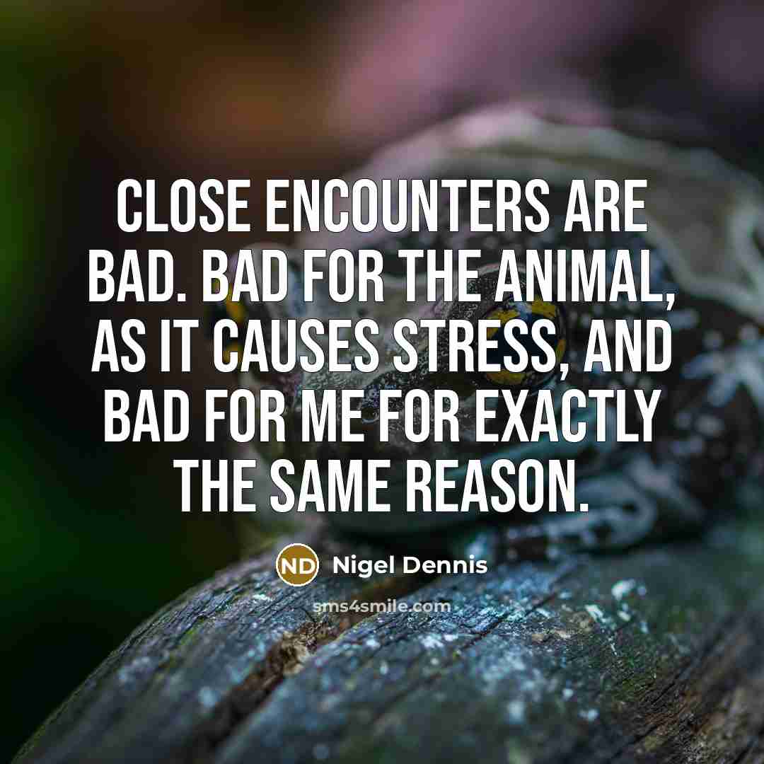 “Close encounters are bad. Bad for the animal, as it causes stress, and bad for me for exactly the same reason.” quote by Nigel Dennis