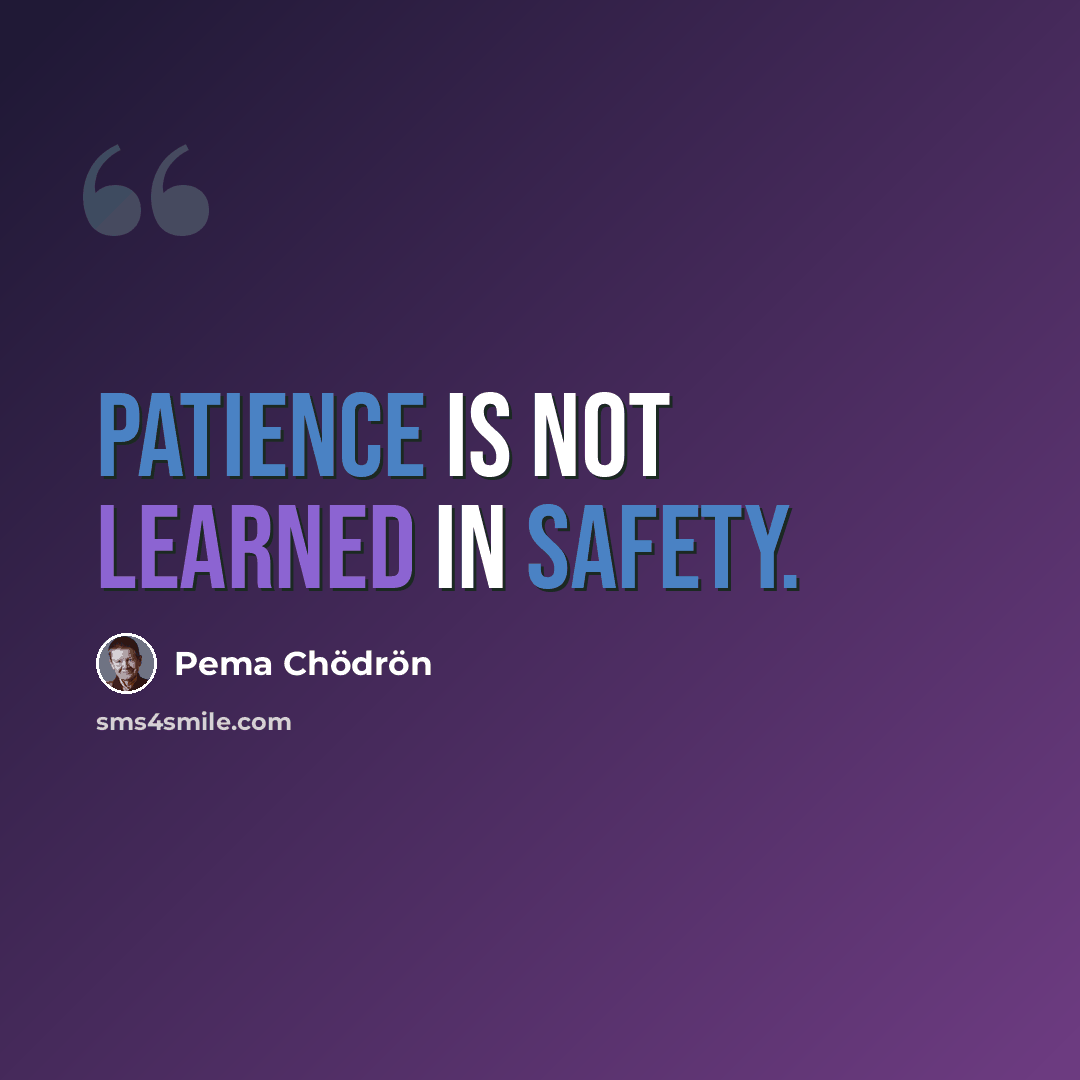 “Patience is not learned in safety.” quote by Pema Chodron