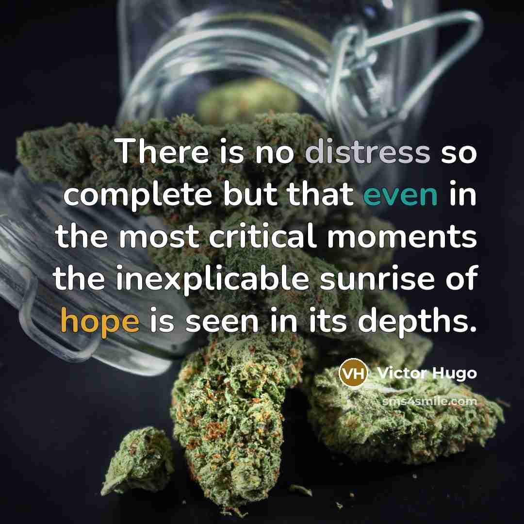 “There is no distress so complete but that even in the most critical moments the inexplicable sunrise of hope is seen in its depths.” quote by Victor Hugo