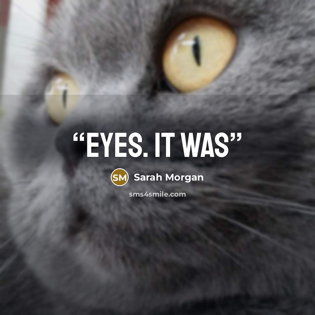 “eyes. It was” quote by Sarah Morgan