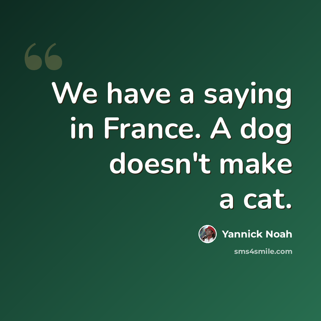 “We have a saying in France. A dog doesn't make a cat.” quote by Yannick Noah