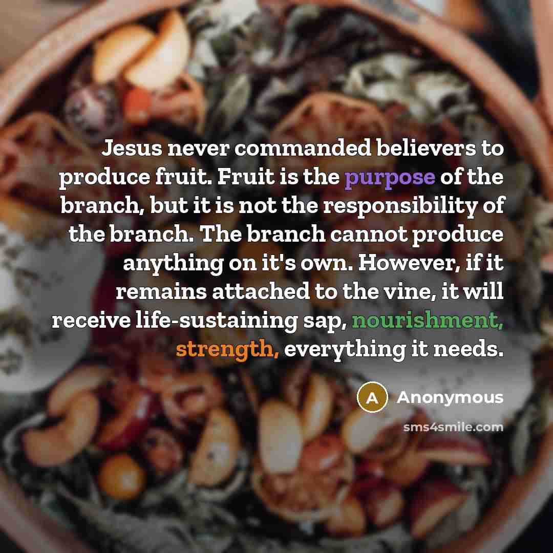 “Jesus never commanded believers to produce fruit. Fruit is the purpose of the branch, but it is not the responsibility of the branch. The branch cannot produce anything on it's own. However, if it remains attached to the vine, it will receive life-sustaining sap, nourishment, strength, everything…” quote by Anonymous