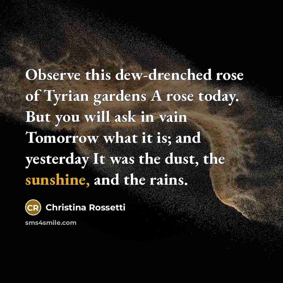 “Observe this dew-drenched rose of Tyrian gardens A rose today. But you will ask in vain Tomorrow what it is; and yesterday It was the dust, the sunshine, and the rains.” quote by Christina Rossetti