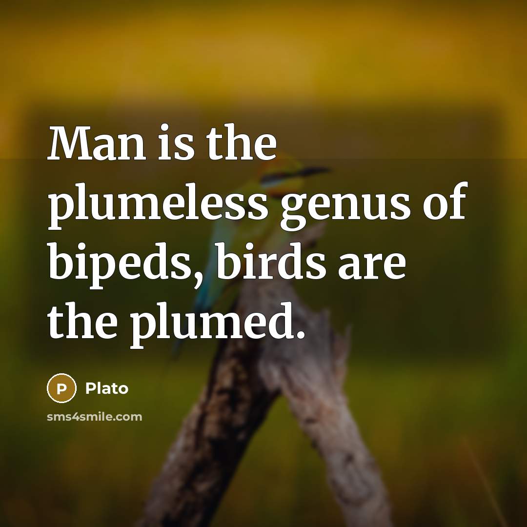“Man is the plumeless genus of bipeds, birds are the plumed.” quote by Plato