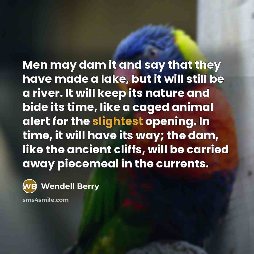 “Men may dam it and say that they have made a lake, but it will still be a river. It will keep its nature and bide its time, like a caged animal alert for the slightest opening. In time, it will have its way; the dam, like the ancient cliffs, will be carried away piecemeal in the currents.” quote by Wendell Berry