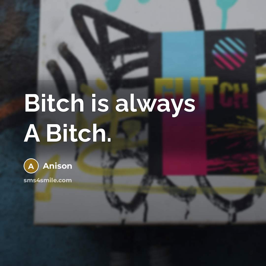 “Bitch is always A Bitch.” quote by Anison