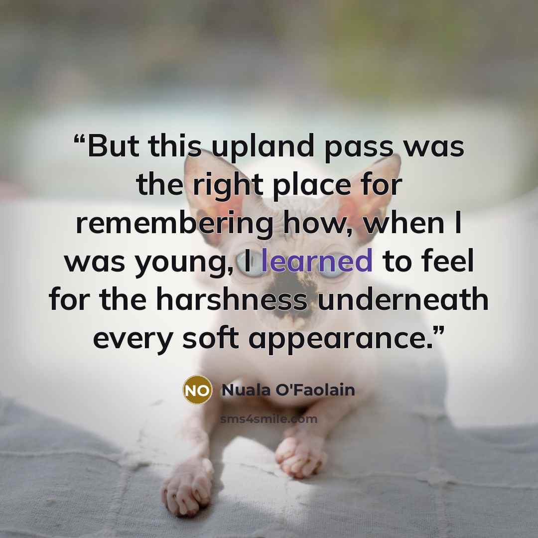 “But this upland pass was the right place for remembering how, when I was young, I learned to feel for the harshness underneath every soft appearance.” quote by Nuala O'Faolain