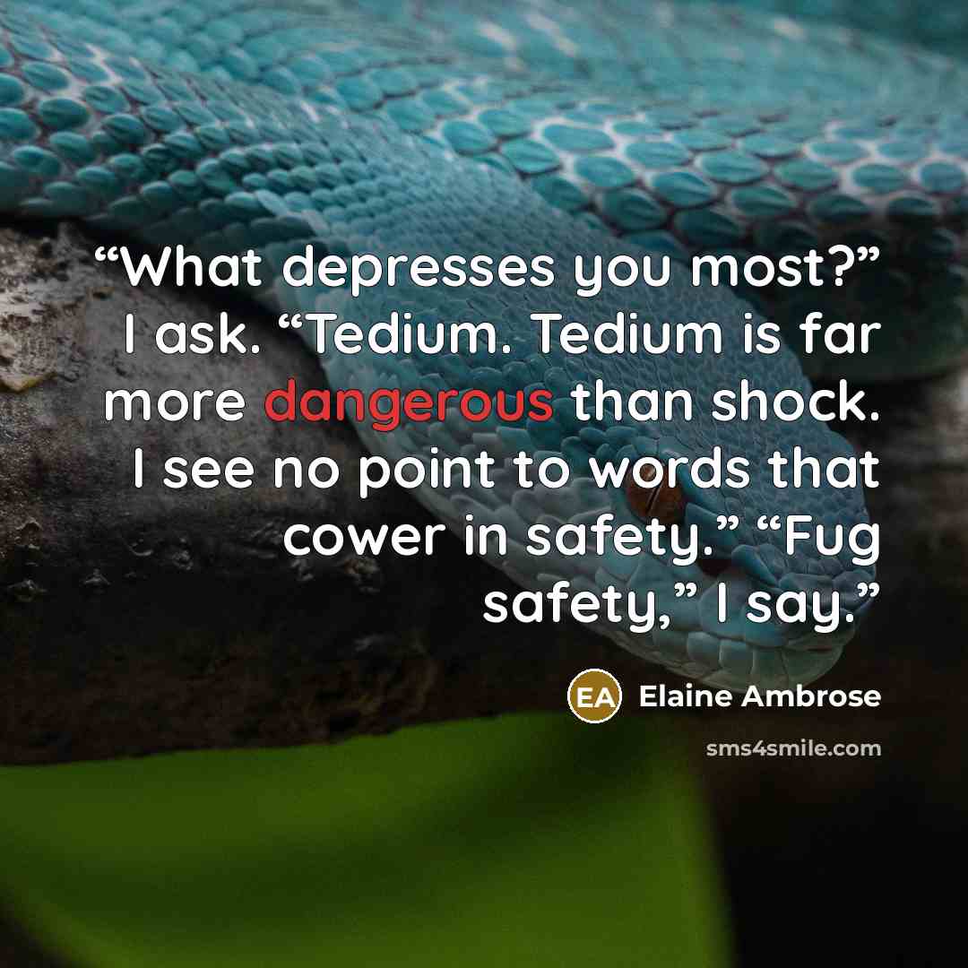 “What depresses you most?” I ask. “Tedium. Tedium is far more dangerous than shock. I see no point to words that cower in safety.” “Fug safety,” I say.” quote by Elaine Ambrose