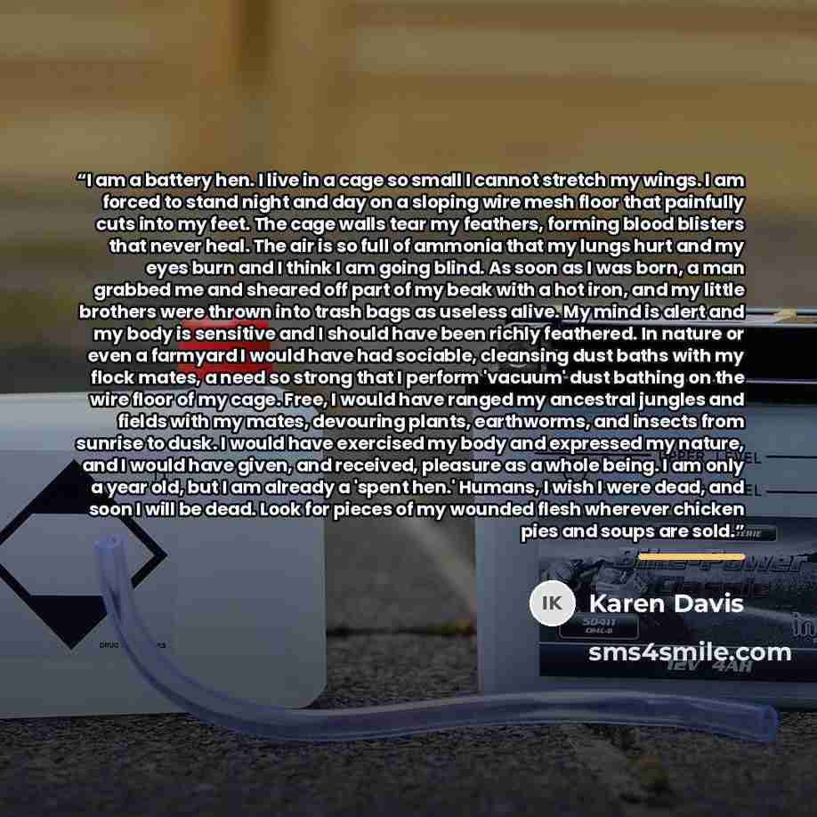 “I am a battery hen. I live in a cage so small I cannot stretch my wings. I am forced to stand night and day on a sloping wire mesh floor that painfully cuts into my feet. The cage walls tear my feathers, forming blood blisters that never heal. The air is so full of ammonia that my lungs hurt and…” quote by Karen Davis